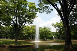 Yoyogi Park