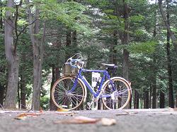 Yoyogi Park - Cycling