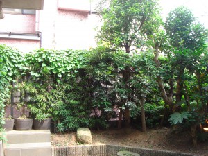 Villa ISIS Minami-aoyama - Garden