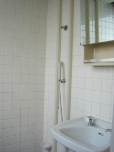 Fujiya House - Shower Room