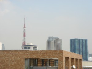 Fujiya House - View