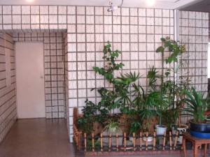 Fujiya House - Entrance Hall