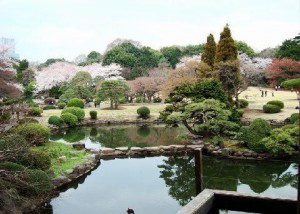 Shinjuku Gyoen