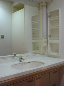 NK Aoyama Homes - Powder Room