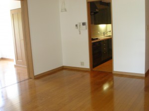 NK Aoyama Homes - Living Dining Room