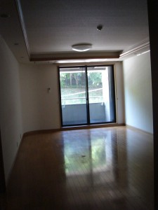 NK Aoyama Homes - Living Dining Room