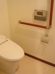 Minami-aoyama Domichl - Restroom