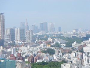 Izumi Garden Residence - View
