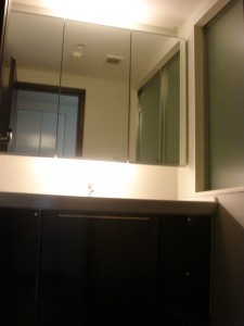 Izumi Garden Residence - Powder Room