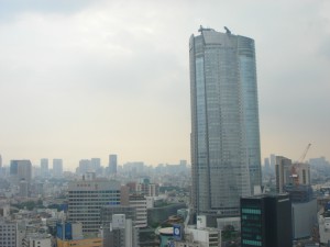 Residia Tower - View