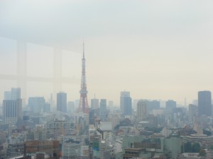Residia Tower - View