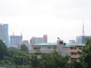 Minami-aoyama Toyoda Park Mansion - View