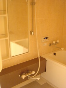 Towa Akasaka Apartment - Bathroom