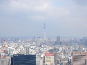 La Tour Shiodome - View