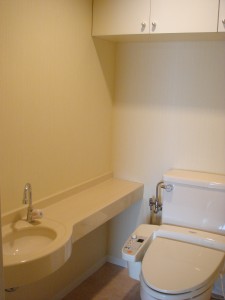 Nichirei Higashi Ginza Residence - Restroom