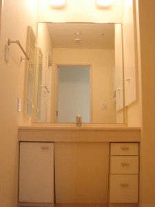 Nichirei Higashi Ginza Residence - Powder Room