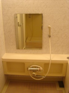 Nichirei Higashi Ginza Residence - Bathroom