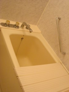 Nichirei Higashi Ginza Residence - Bathroom