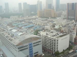 Nichirei Higashi Ginza Residence - View