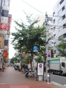 Shibaura Island Grove Tower - Neighbor