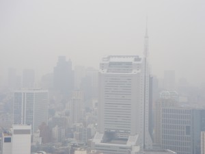 Shibaura Island Grove Tower - View