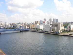 Riverside Yomiuri Heights - View