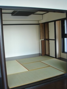 River & Tower - Japanese Room