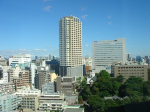 Apartments Tower Meguro - View