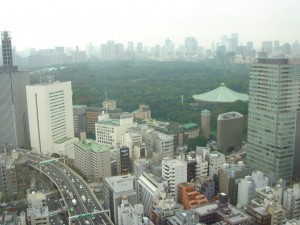 La Tour Chiyoda - View