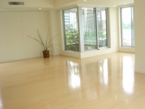 Blossom Terrace - Living Dining Room