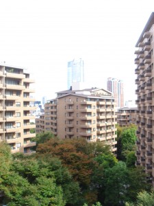 Hiroo Garden Hills - View