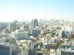 La Tour Iidabashi - View