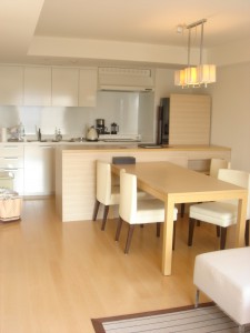 Roppongi Duplex M's - Living Dining Room