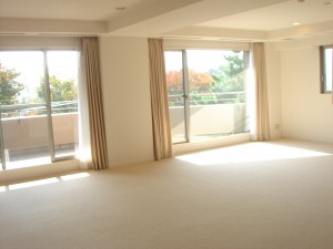 Zedoan Hiroo - Living Dining Room