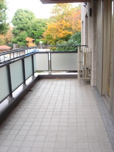 Residia Yoyogikoen - Balcony