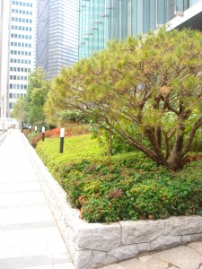 Platine Nishishinjuku - Garden