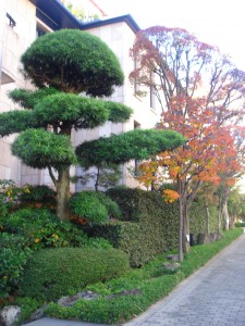 Palace Royal Shoto - Entrance