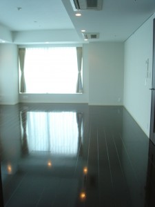 Platine Shinjuku Shintoshin - Living Dining Room