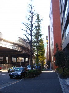 Residia Nishi-azabu - Neighbor