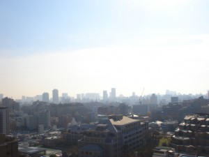 Residia Nishi-azabu - View