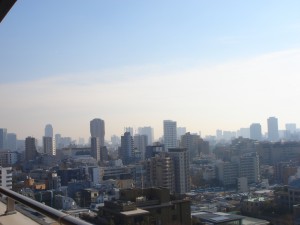 Residia Nishi-azabu - View