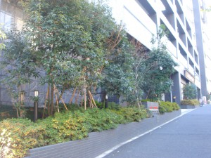 Residia Nishi-azabu - Greenery