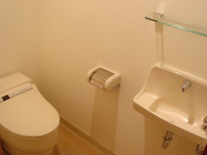 Minami-aoyama Takagicho Park Mansion - Restroom