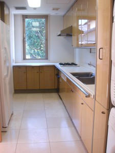 Minami-aoyama Takagicho Park Mansion - Kitchen