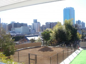 Minami-azabu Duplex R's - View