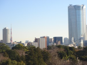 Comforia Minami-aoyama - View