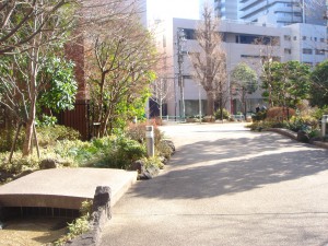 Millennium Garden Court - Garden