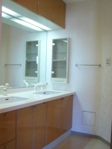 Millennium Garden Court - Powder Room