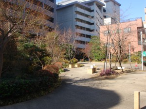 Millennium Garden Court - Garden
