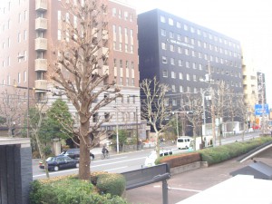 Nogizaka Park House - View